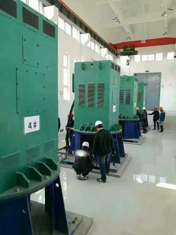 庆安某污水处理厂使用我厂的立式高压电机安装现场