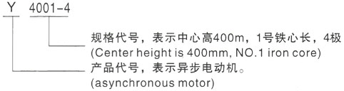 西安泰富西玛Y系列(H355-1000)高压庆安三相异步电机型号说明